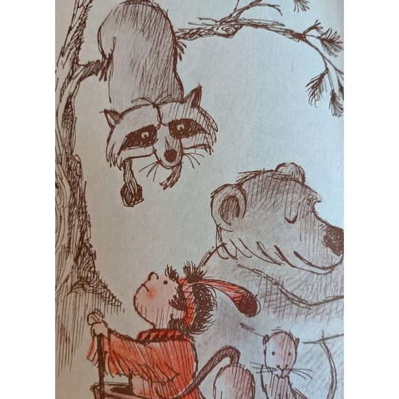 Vintage 1960s Red Fox and His Canoe By Nathaniel Benchley Scholastic Childrens - Picture 8 of 12